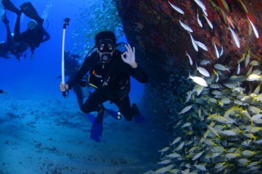 Hurghada Tauchen lernen.